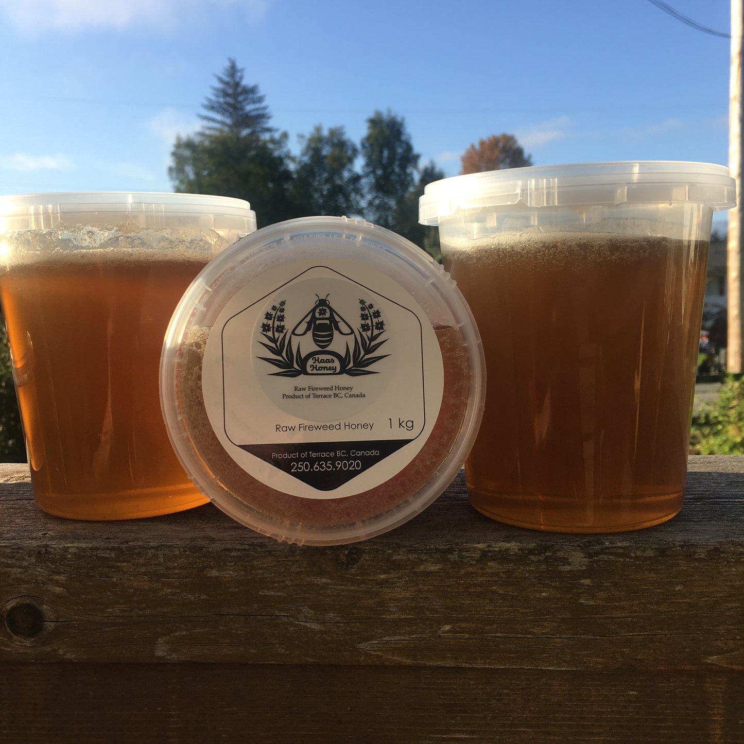 Fireweed Honey 1kg /plastic tub